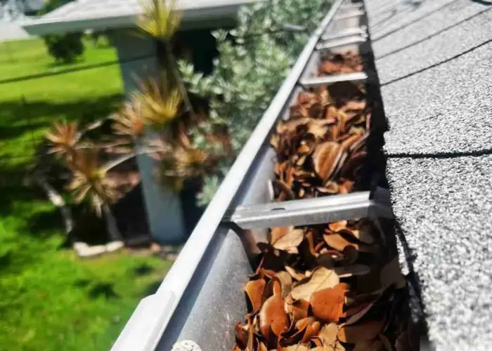 Pelican Preserve gutter cleaning home page
